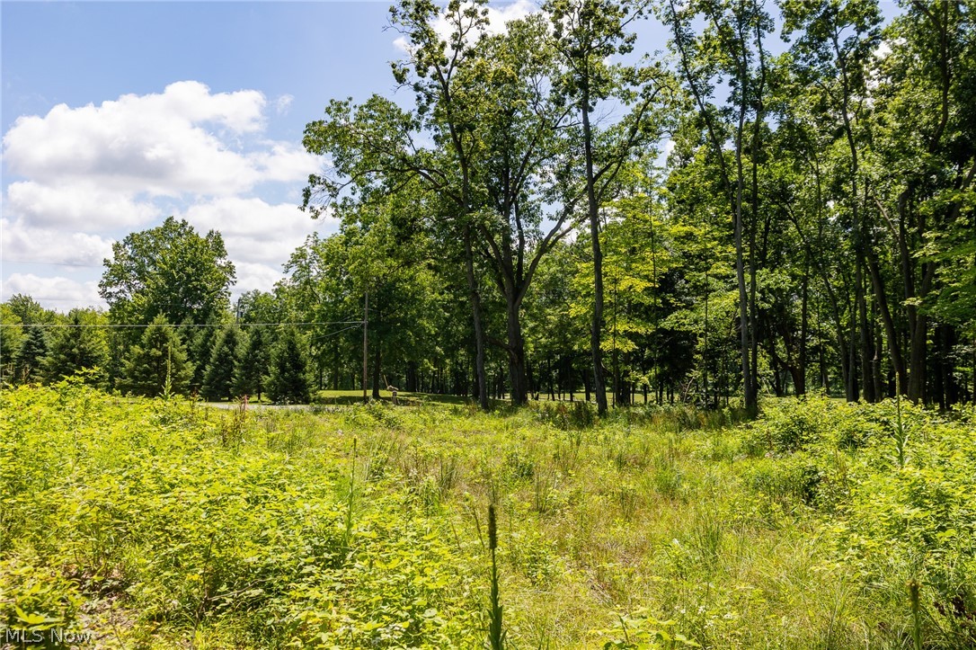 Wayland Road Diamond, OH 44412 - Photo 14 of 20