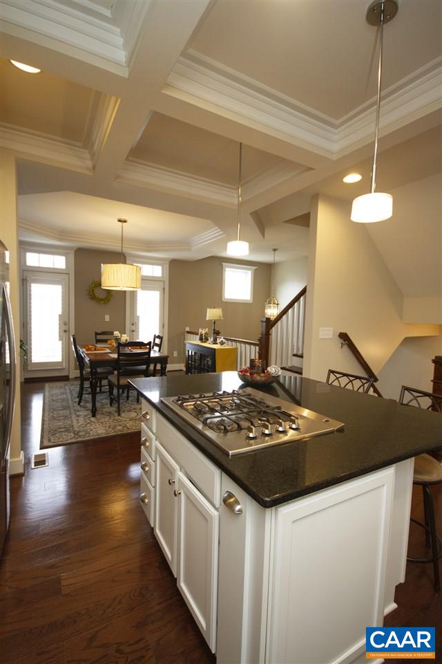 2036 Avinity Loop Charlottesville, VA 22902 - Photo 11 of 31 Gallery Image 11