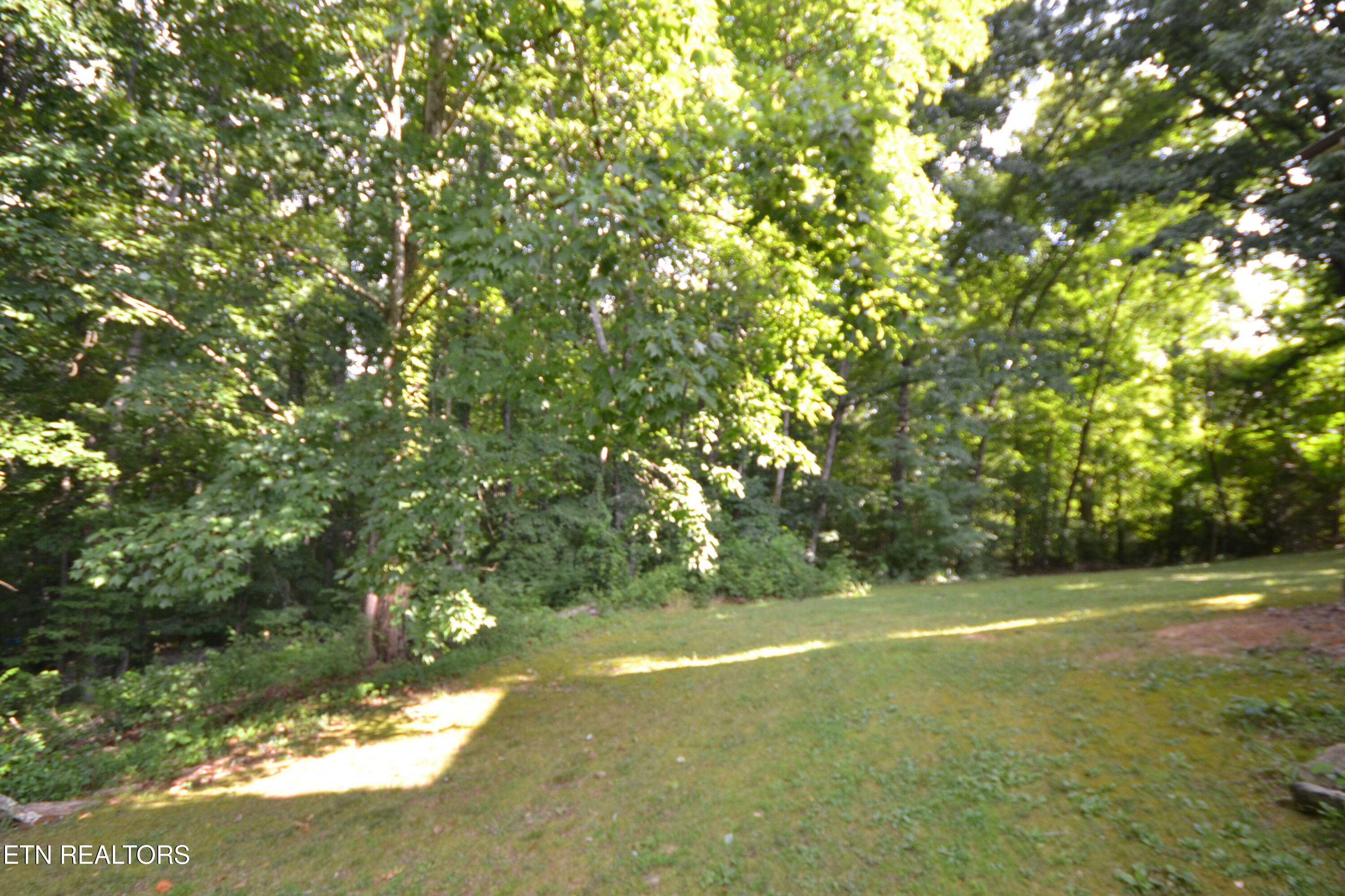 6703 Cate Road Powell, TN 37849 - Photo 22 of 23 Yard