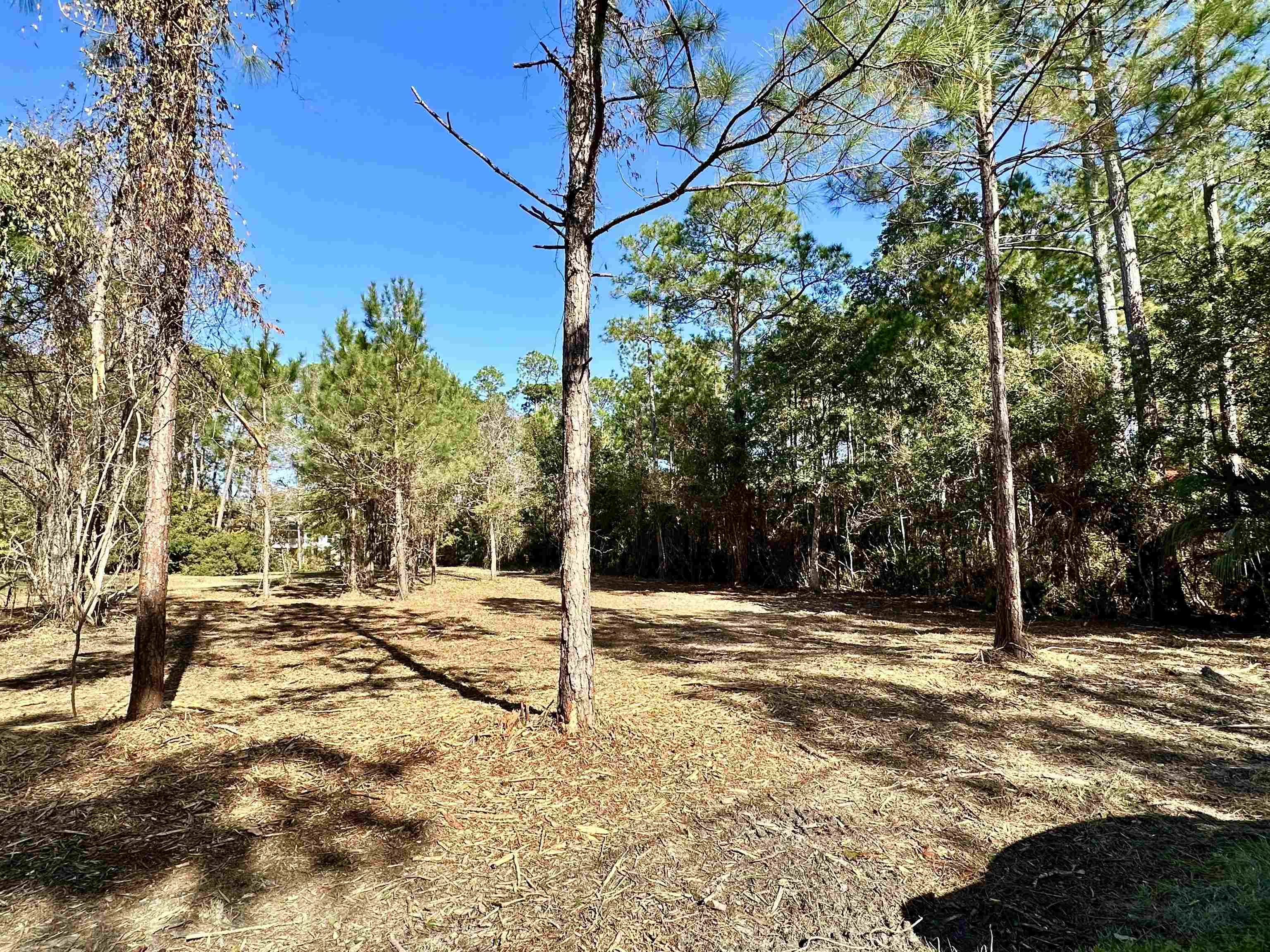 40707 Canal Circle Fairhope, AL 36532 - Photo 4 of 10 Yard