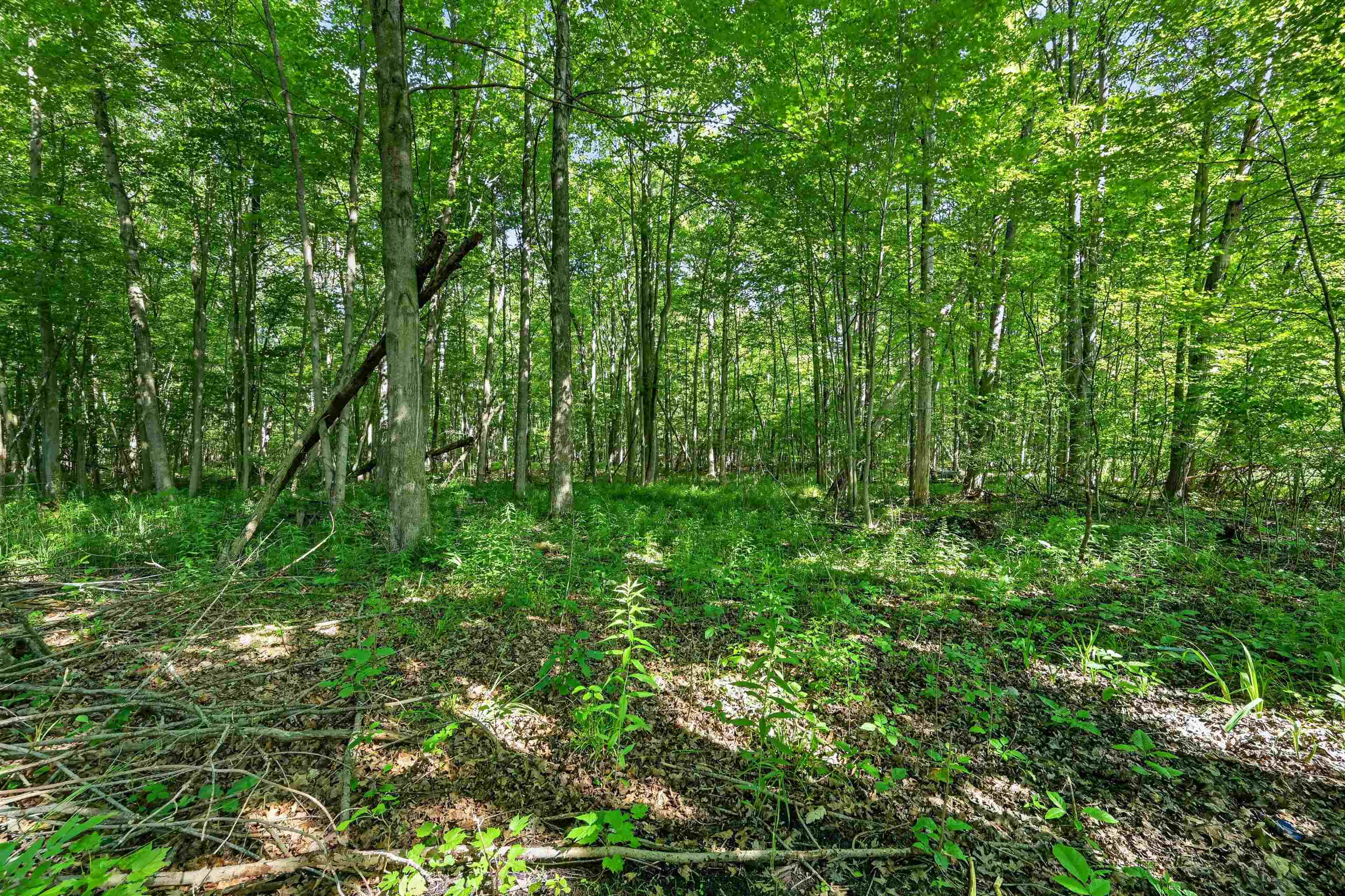 249 East Bradford Road Midland, MI 48640 - Photo 49 of 66