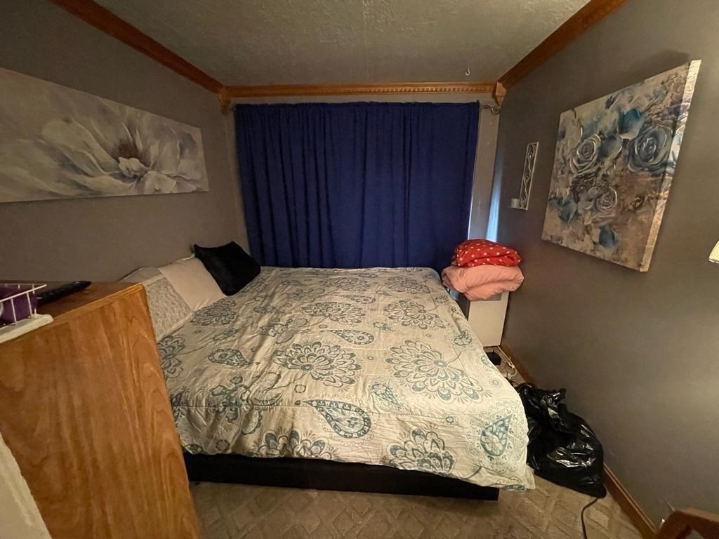 11 Mckinley Road Worcester, MA 01605 - Photo 16 of 20 Gallery Image 16