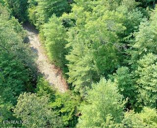 165 Anatole Pass Townsend, TN 37882 - Photo 2 of 6 IMG_2512