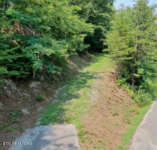 165 Anatole Pass Townsend, TN 37882 - Photo 3 of 6 IMG_2509