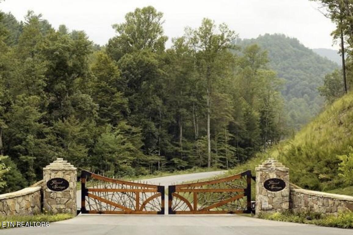 165 Anatole Pass Townsend, TN 37882 - Photo 4 of 6 IMG_2514