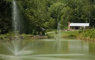 $160,000 | 165 Anatole Pass, Townsend, TN 37882