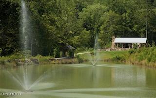 165 Anatole Pass Townsend, TN 37882 - Photo 5 of 6 IMG_2513