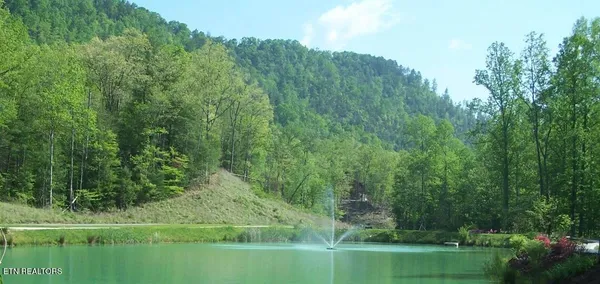 $160,000 | 165 Anatole Pass, Townsend, TN 37882