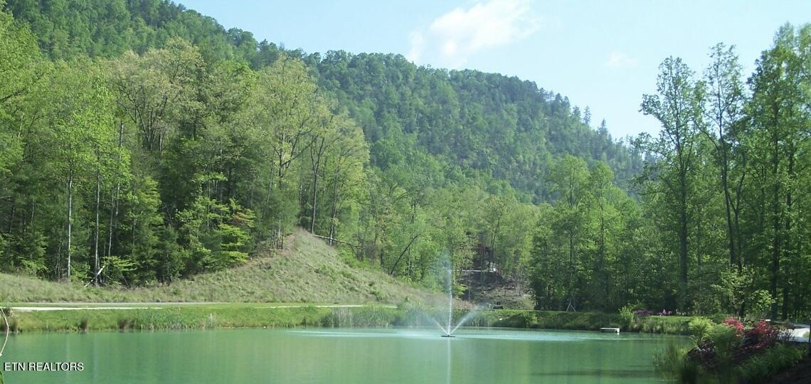 165 Anatole Pass Townsend, TN 37882 - Photo 6 of 6 IMG_2515