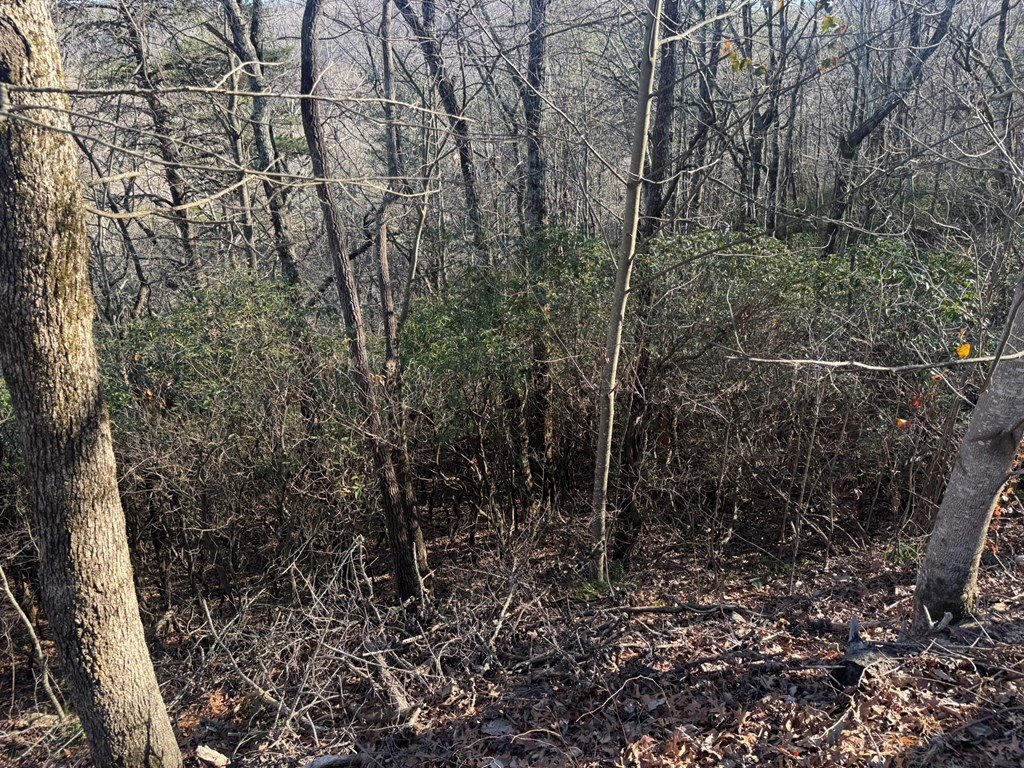 Lot 228 Andes Ridge Jasper, GA 30143 - Photo 11 of 17