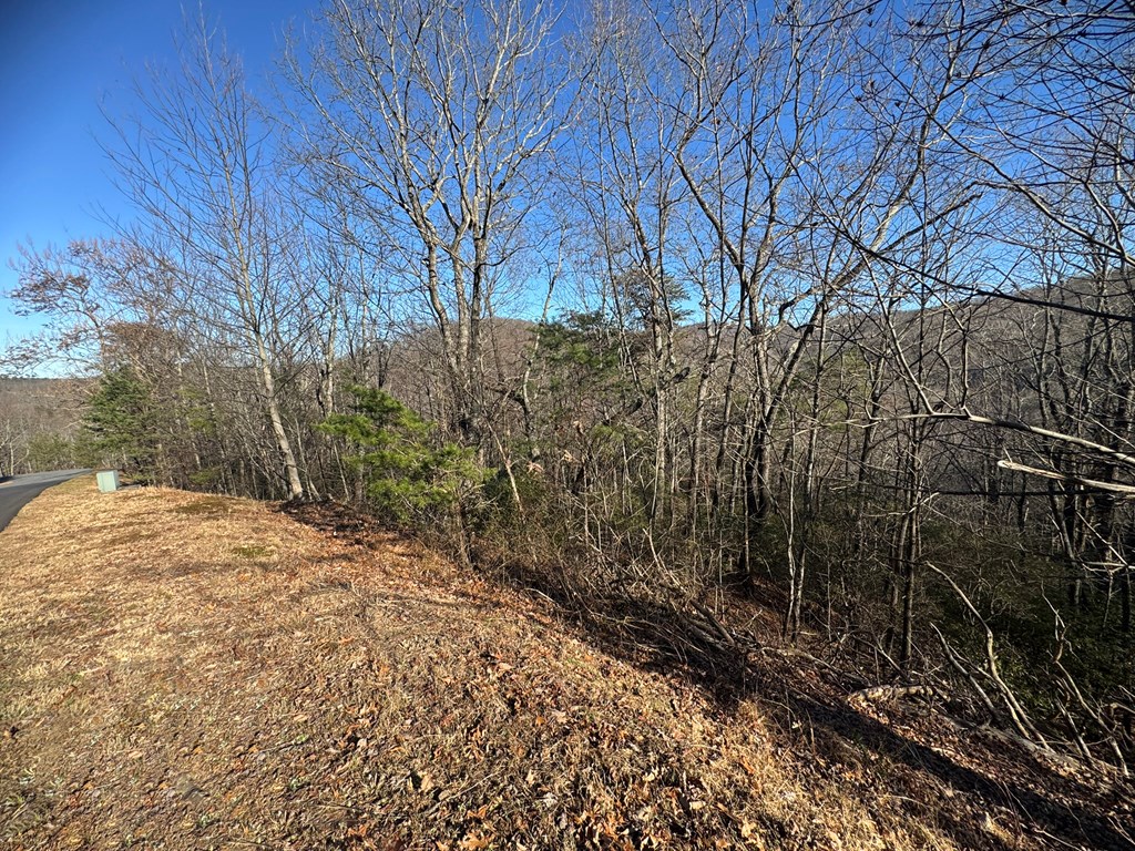 Lot 228 Andes Ridge Jasper, GA 30143 - Photo 12 of 17