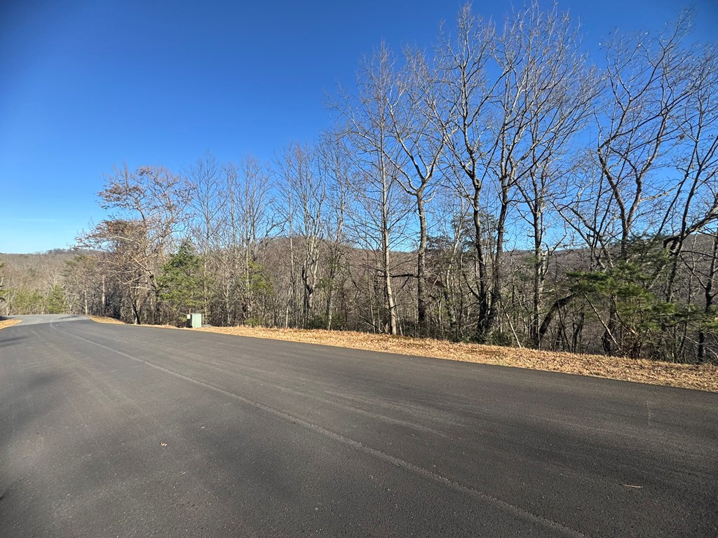 Lot 228 Andes Ridge Jasper, GA 30143 - Photo 13 of 17