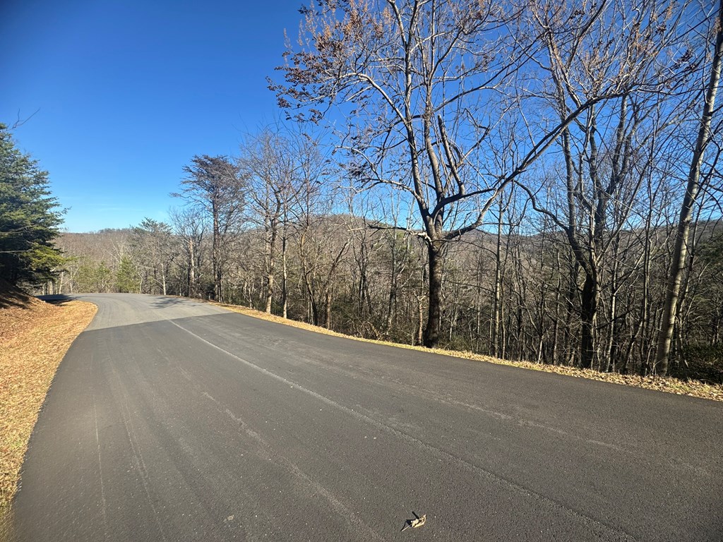 Lot 228 Andes Ridge Jasper, GA 30143 - Photo 4 of 17