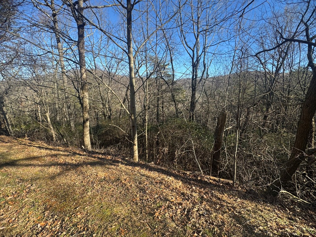 Lot 228 Andes Ridge Jasper, GA 30143 - Photo 6 of 17