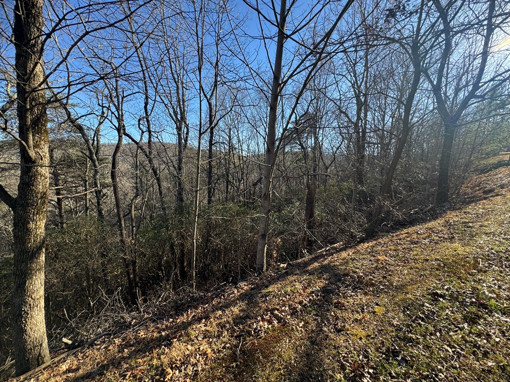 Lot 228 Andes Ridge Jasper, GA 30143 - Photo 8 of 17