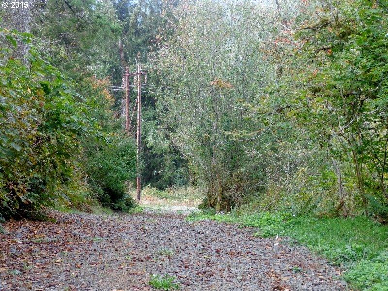 22505 Highway 101 South Beaver, OR 97112 - Photo 12 of 30 AccessRd3
