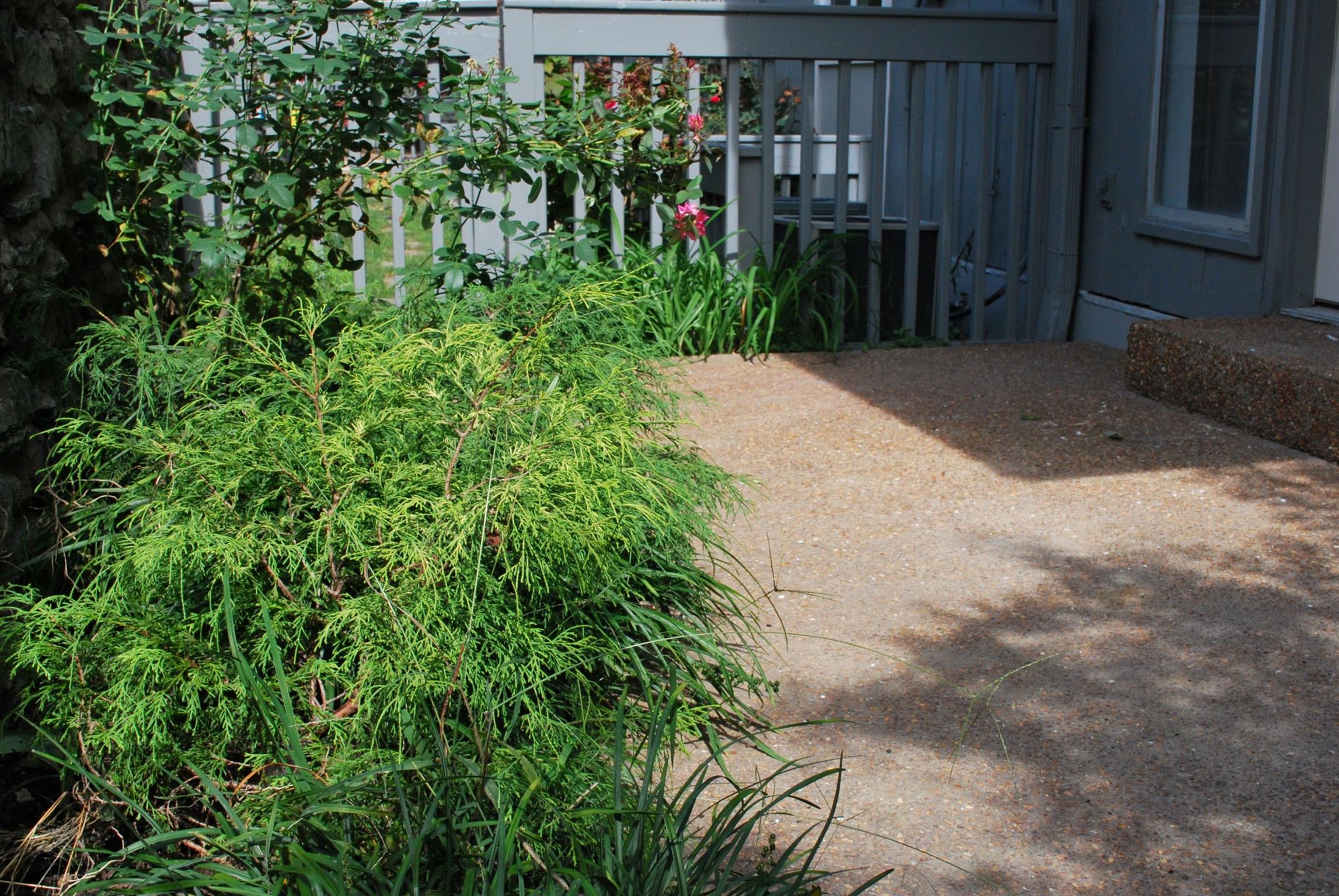 21 Vaughns Gap Road Nashville, TN 37205 - Photo 4 of 12 a view of a backyard with potted plants
