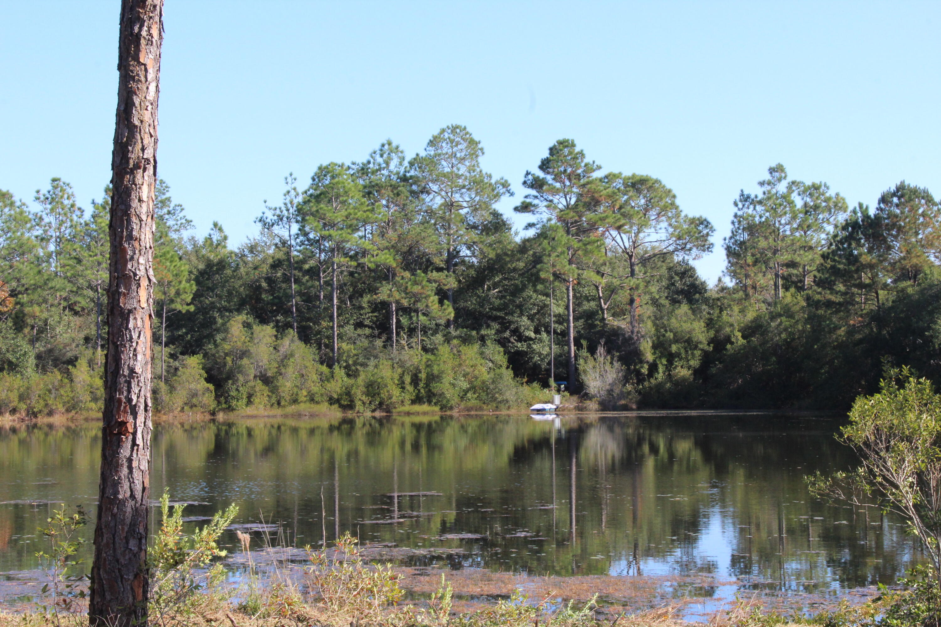 Lot 28 East Michaelangelo Road DeFuniak Springs, FL 32433 - Photo 2 of 4 IMG_6583
