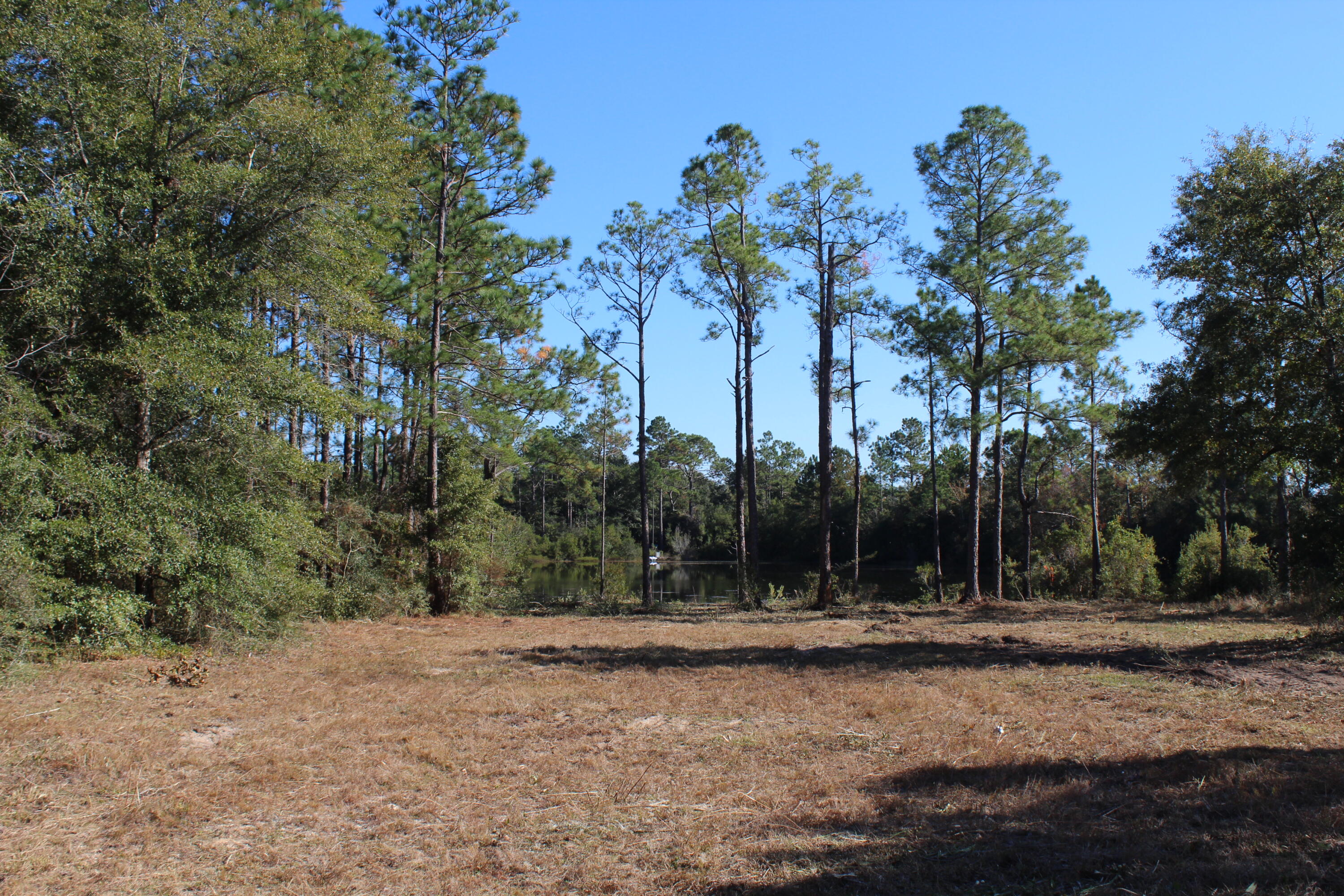 Lot 28 East Michaelangelo Road DeFuniak Springs, FL 32433 - Photo 3 of 4 IMG_6585