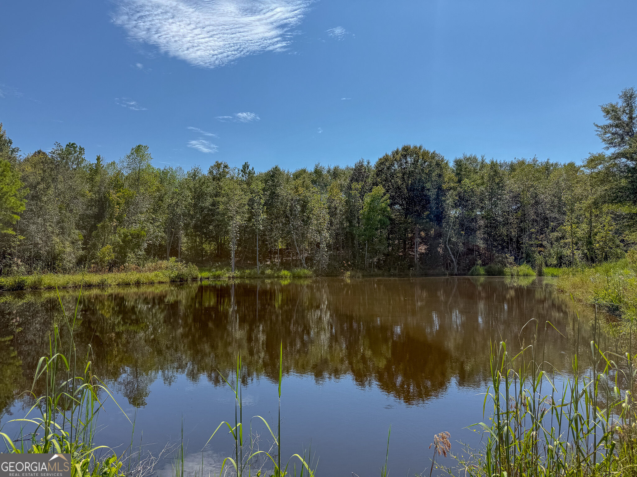 1199 Rural Hill Church Road Preston, GA 31824 - Photo 26 of 34 Gallery Image 26