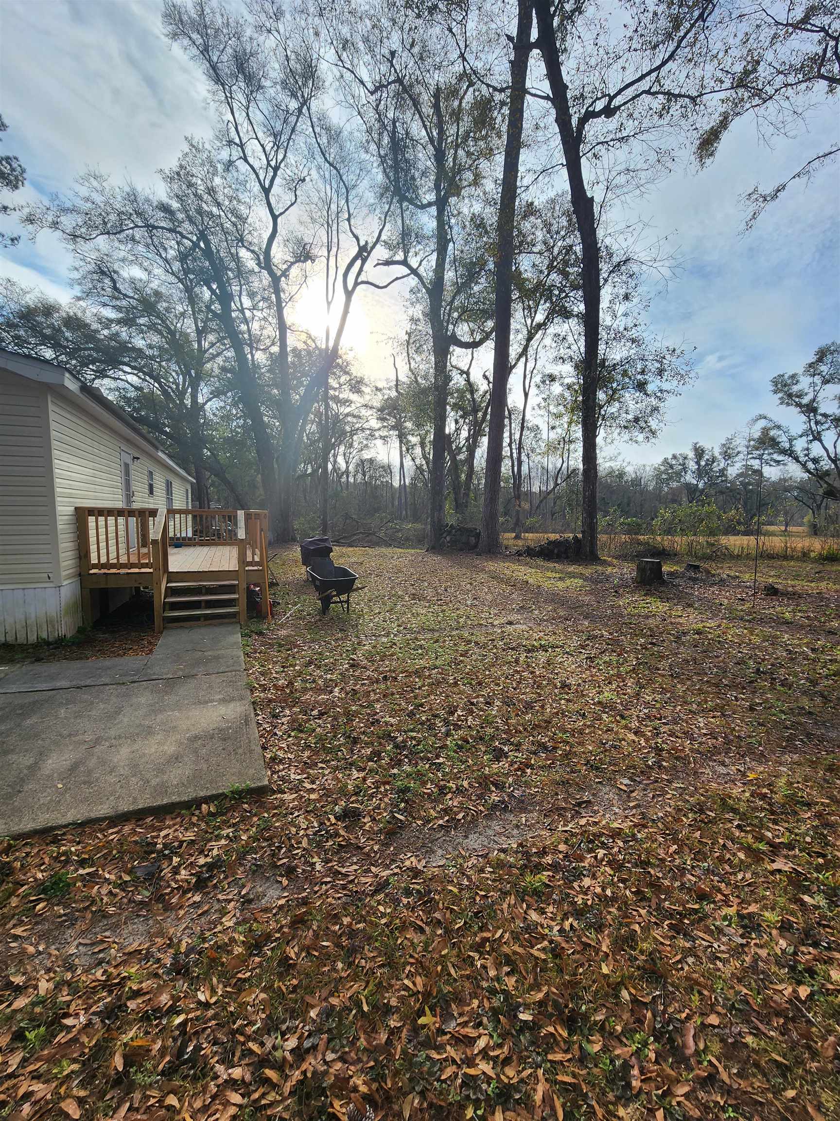 3704 Matt Wing Road Tallahassee, FL 32311 - Photo 17 of 20 Gallery Image 17