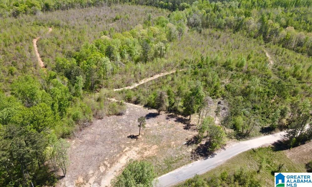 0 Landfill Road, Unit 1 Ashland, AL 36251 - Photo 3 of 15