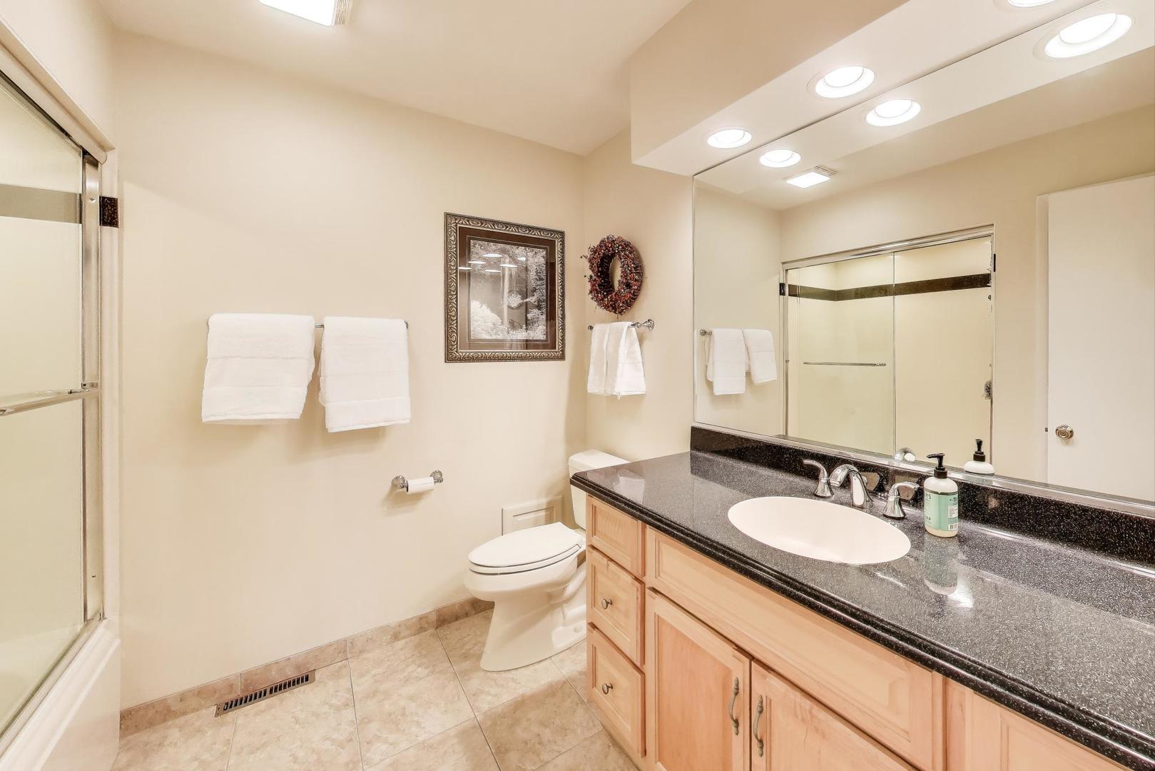 804 Euclid Avenue Elmhurst, IL 60126 - Photo 16 of 28 a bathroom with a granite countertop sink toilet and shower