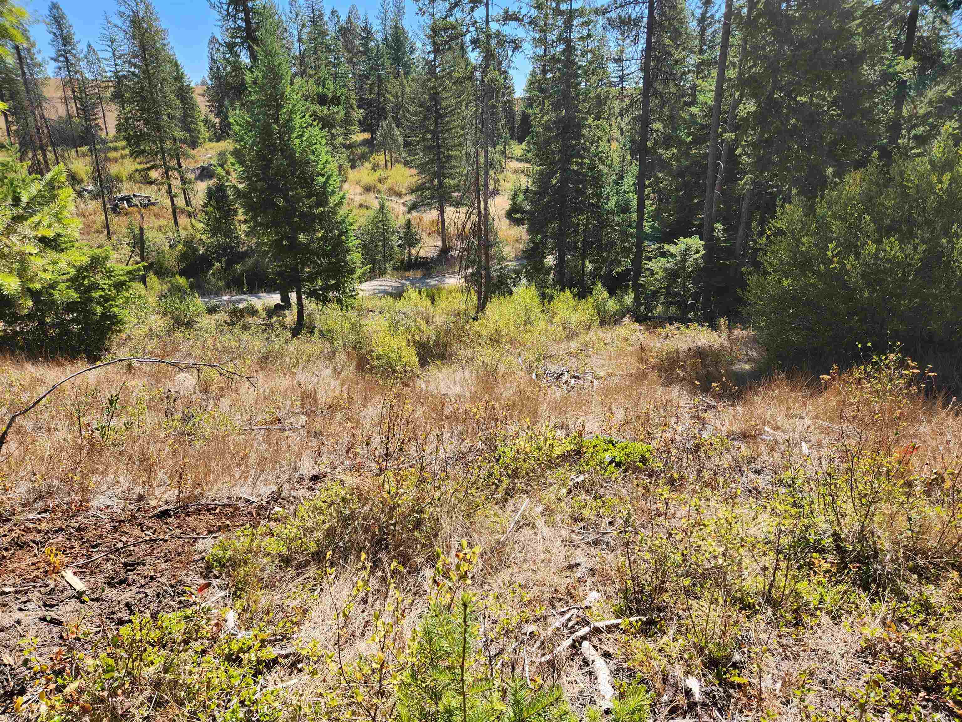 5249 Olinger Road Springdale, WA 99173 - Photo 13 of 22