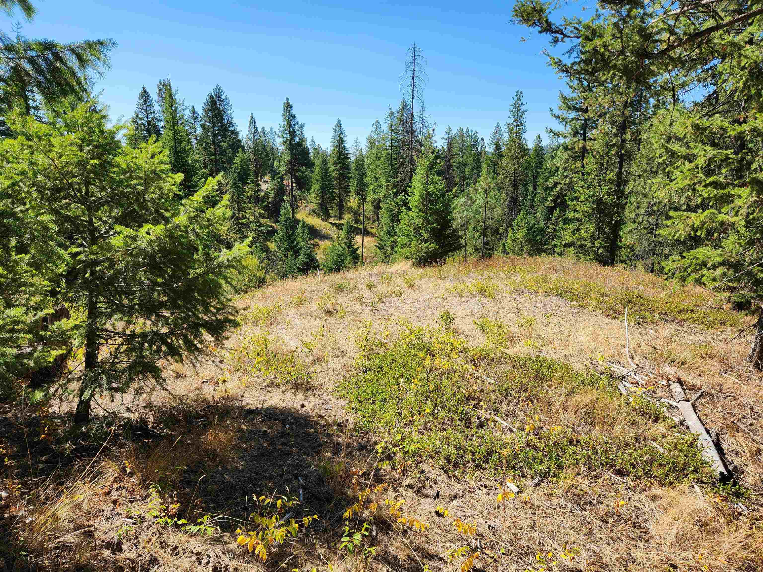 5249 Olinger Road Springdale, WA 99173 - Photo 16 of 22