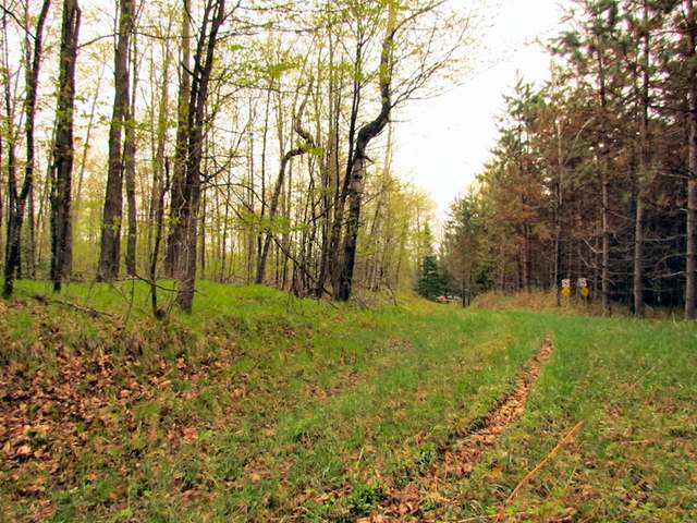 14-acres Starks Settlement Road Laona, WI 54541 - Photo 4 of 12 Gallery Image 4
