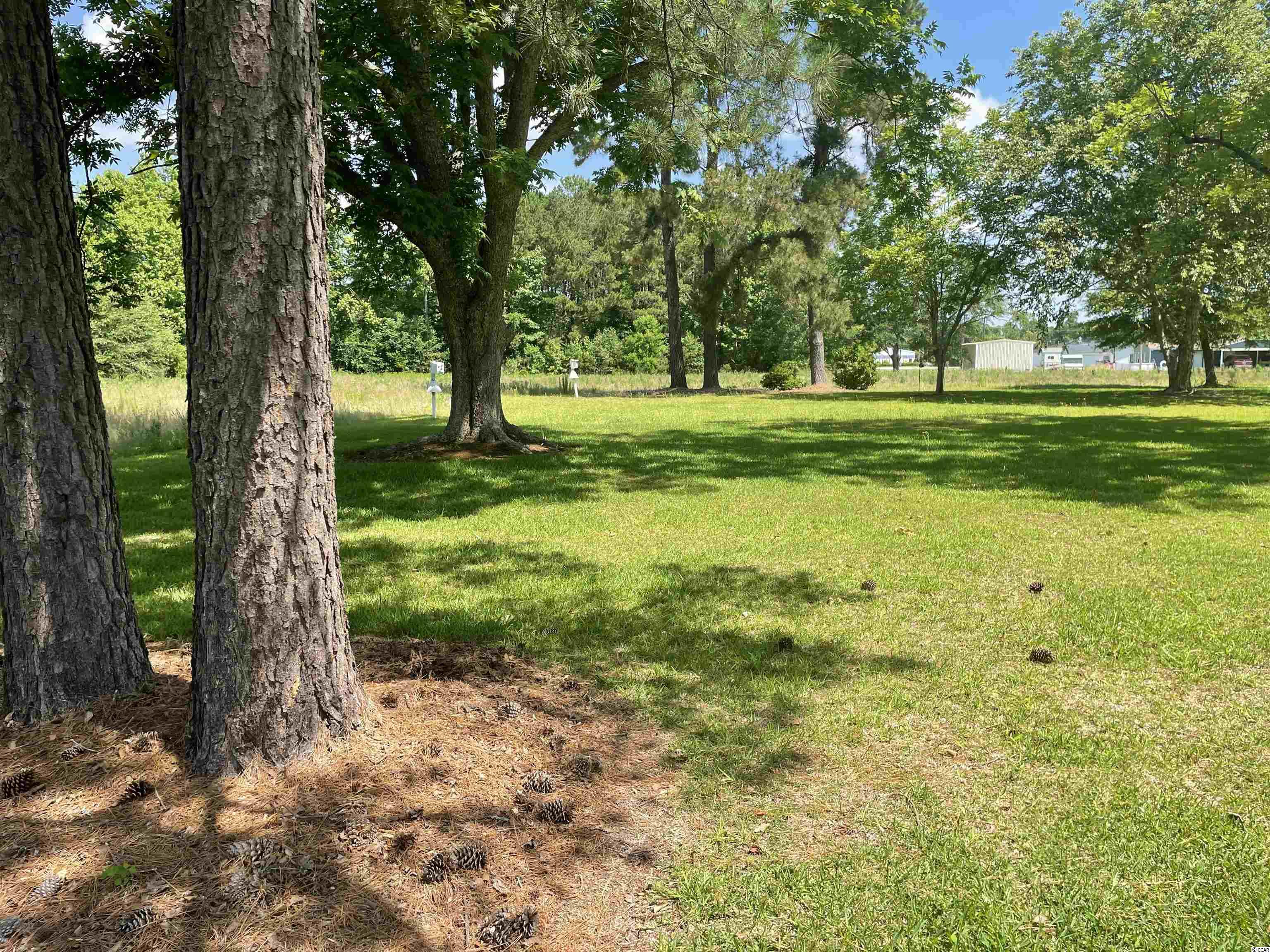 180 Sparrow Lane Loris, SC 29569 - Photo 3 of 24 Gallery Image 3
