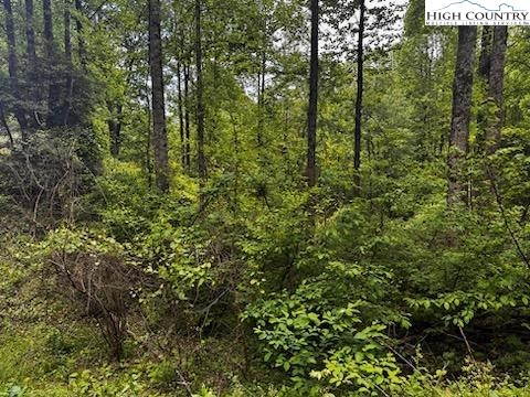 32 Amber Rock Road Lenoir, NC 28645 - Photo 7 of 8 Gallery Image 7