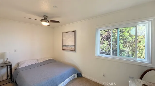 a view of beach and ocean