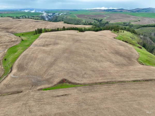 $225,000 | Tbd Younger Road, Craigmont, ID 83523