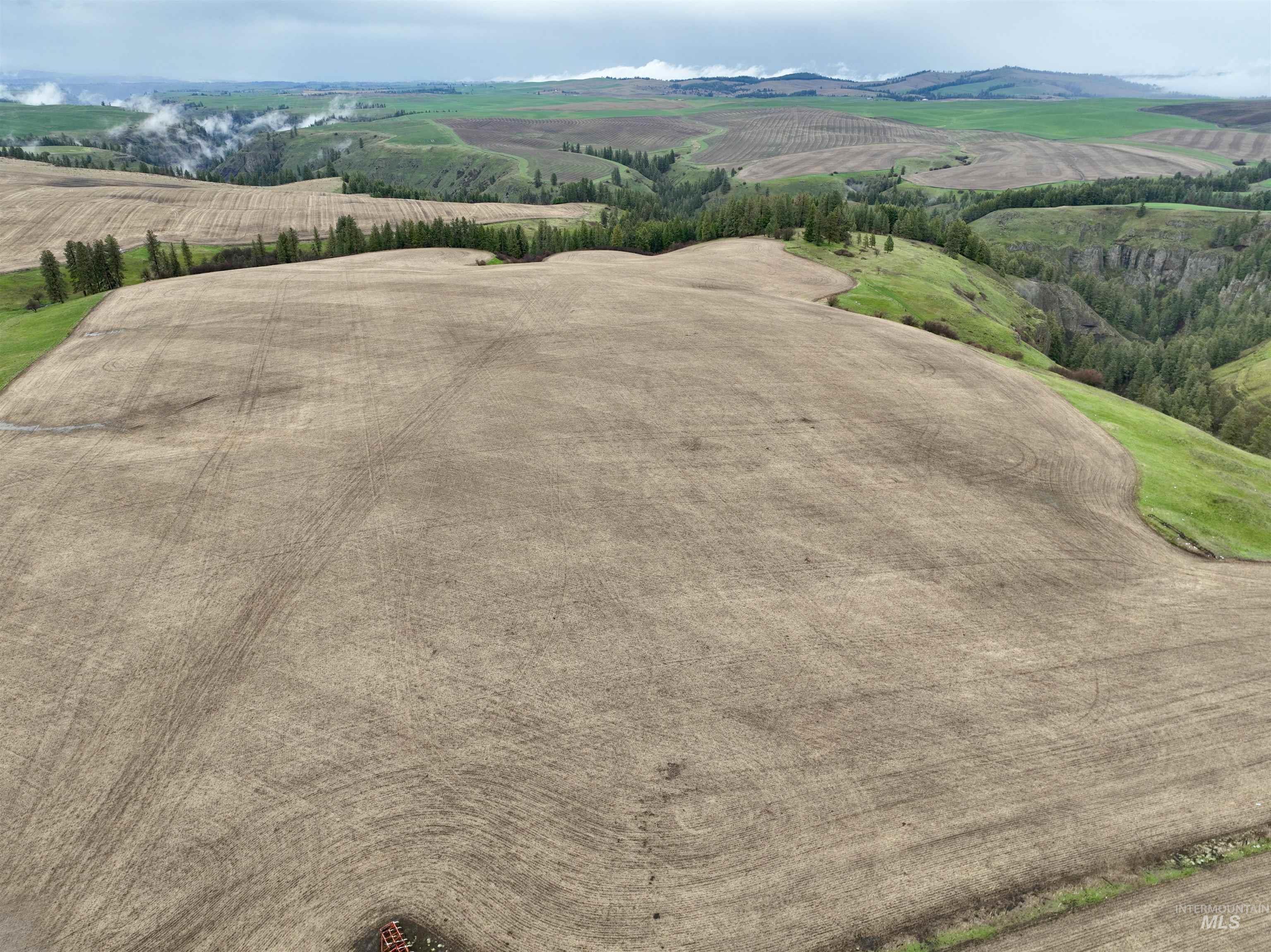 Tbd Younger Road Craigmont, ID 83523 - Photo 3 of 11