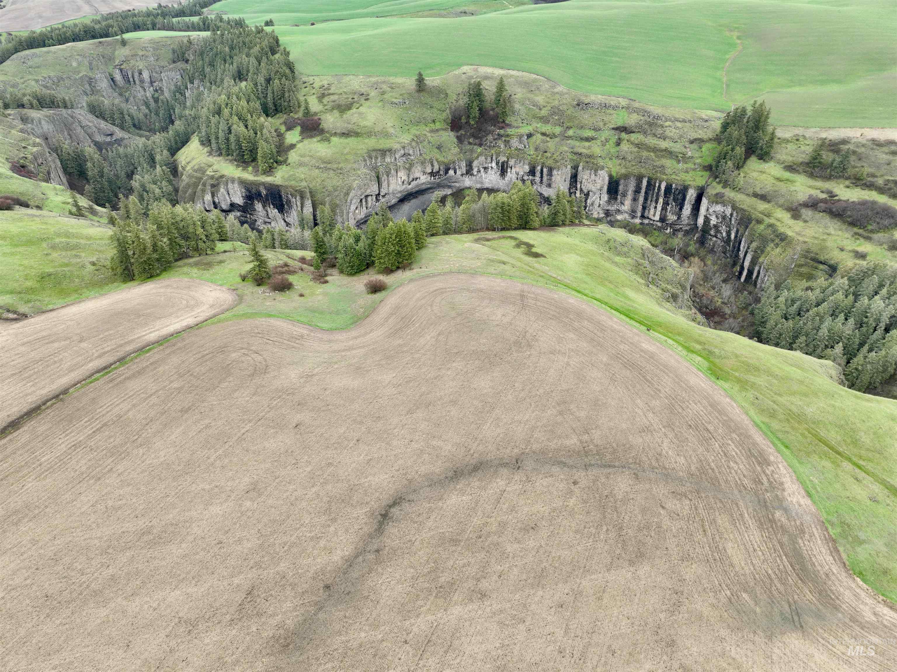 Tbd Younger Road Craigmont, ID 83523 - Photo 4 of 11