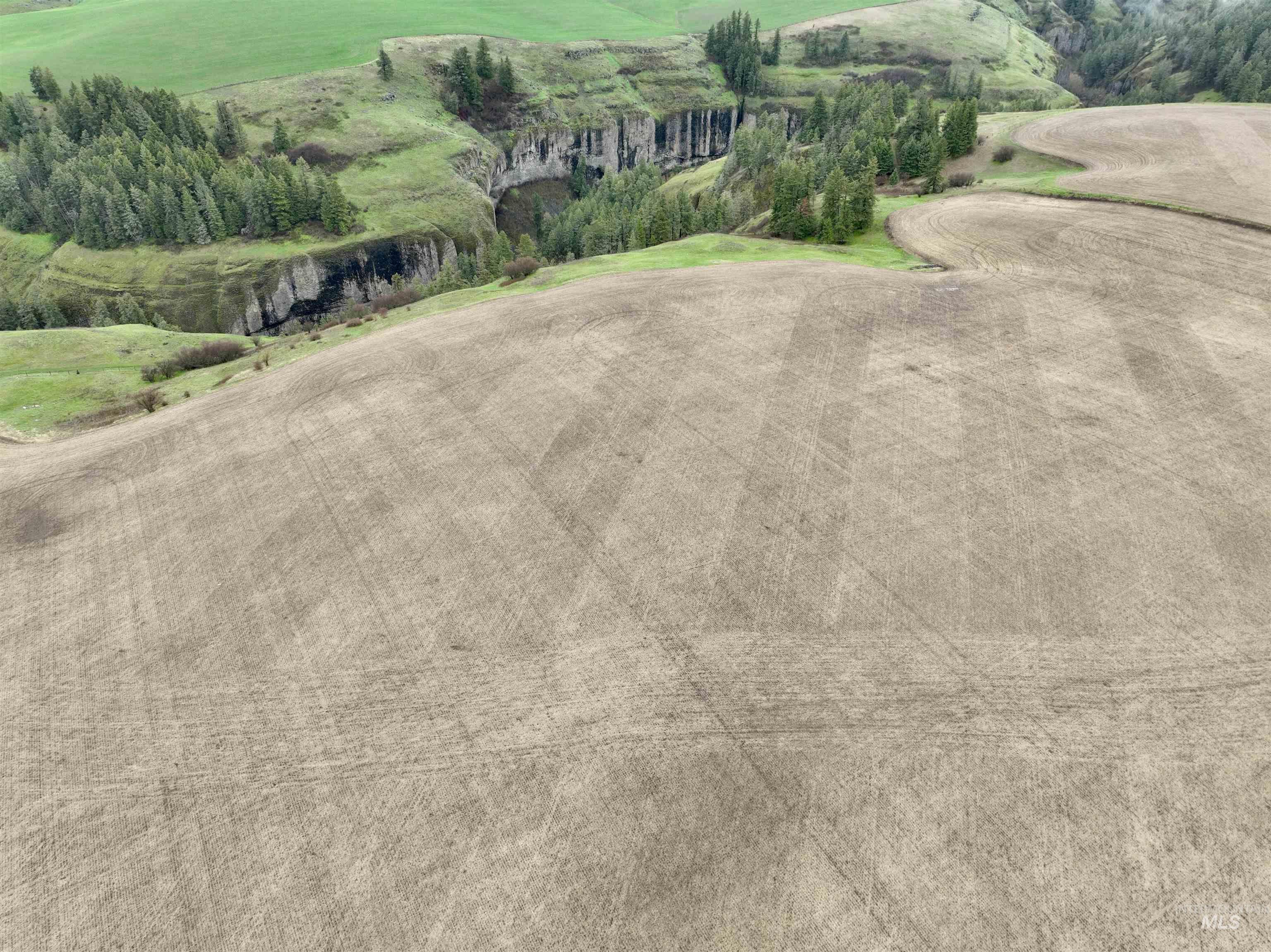 Tbd Younger Road Craigmont, ID 83523 - Photo 6 of 11