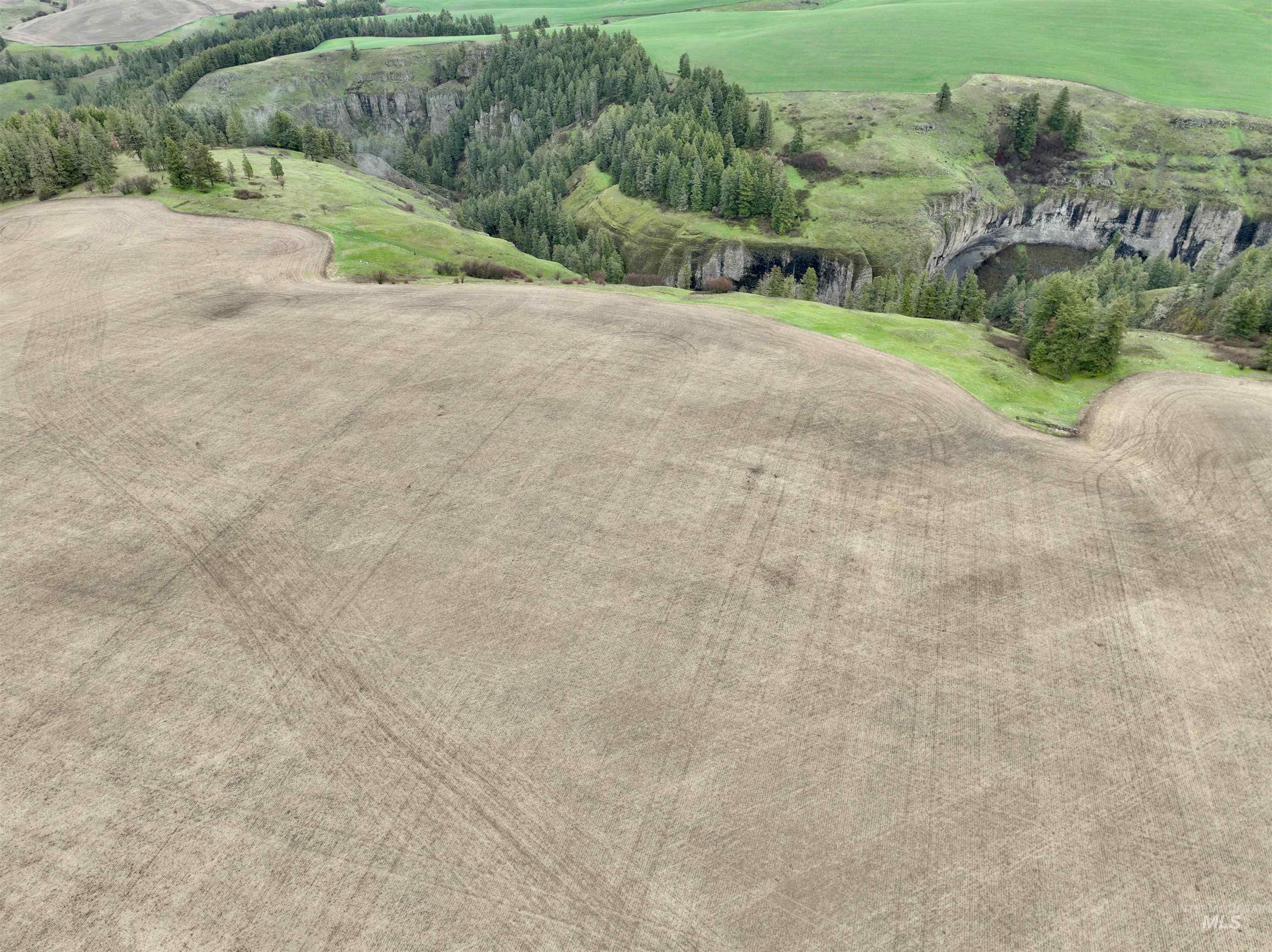 Tbd Younger Road Craigmont, ID 83523 - Photo 8 of 11