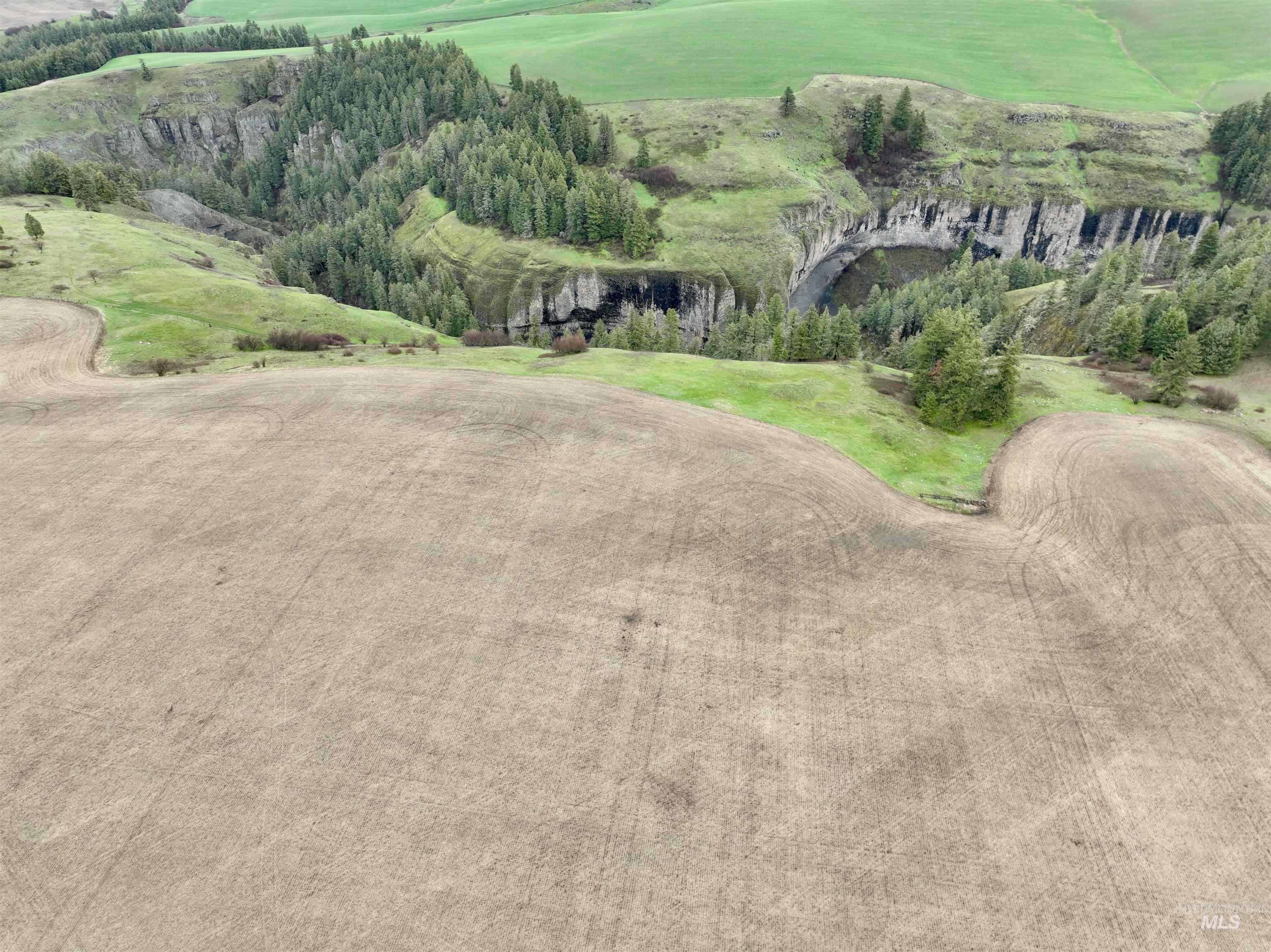 Tbd Younger Road Craigmont, ID 83523 - Photo 9 of 11