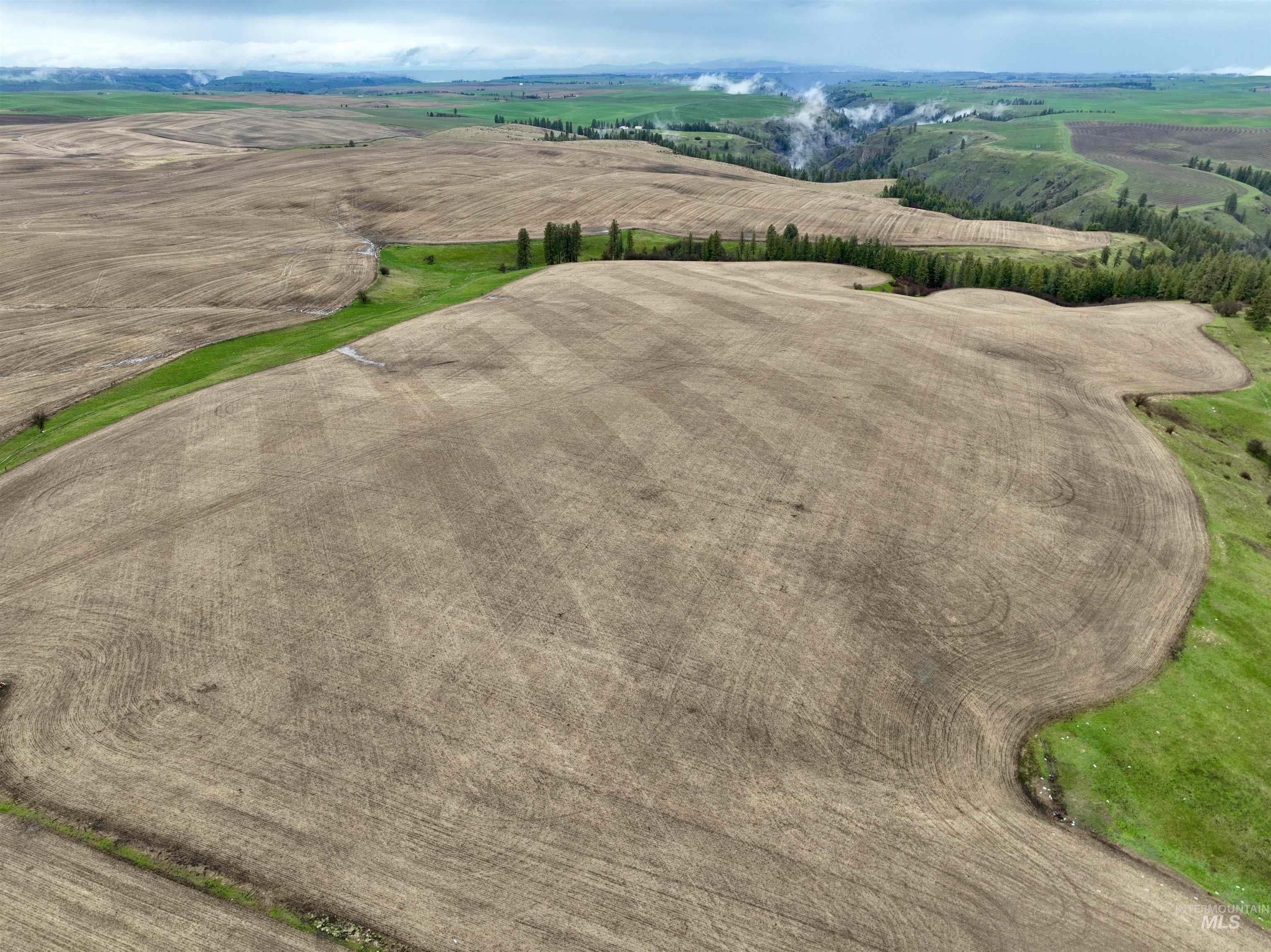 Tbd Younger Road Craigmont, ID 83523 - Photo 10 of 11