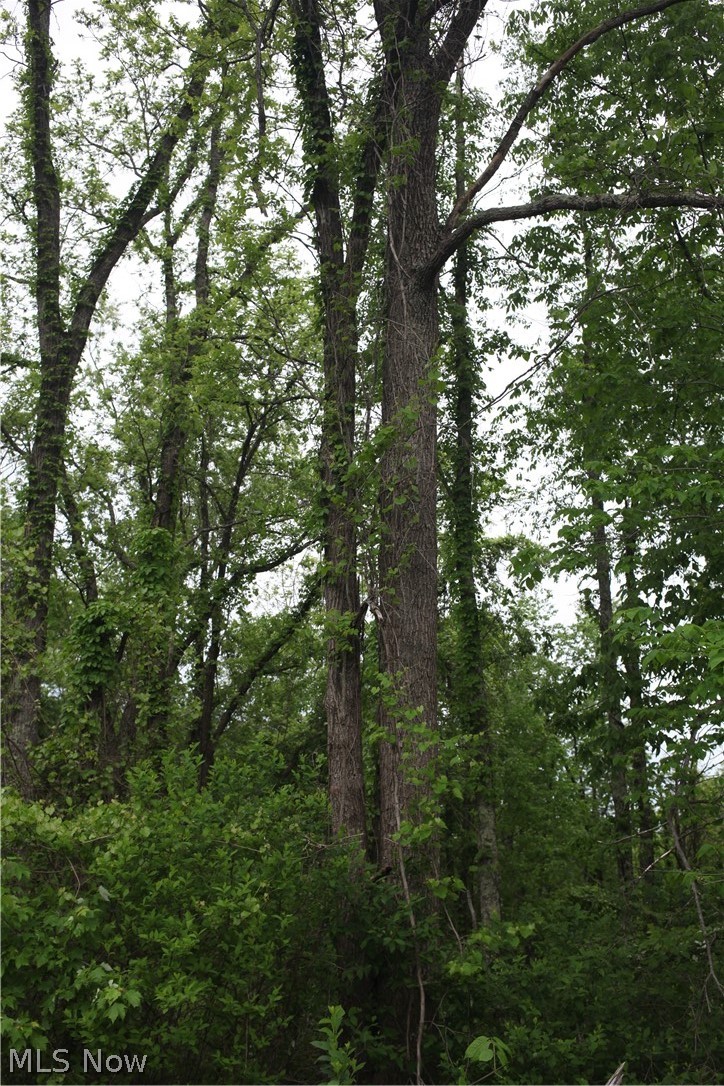 Sandy Ridge Road Southeast Tippecanoe, OH 44699 - Photo 15 of 27 Gallery Image 15