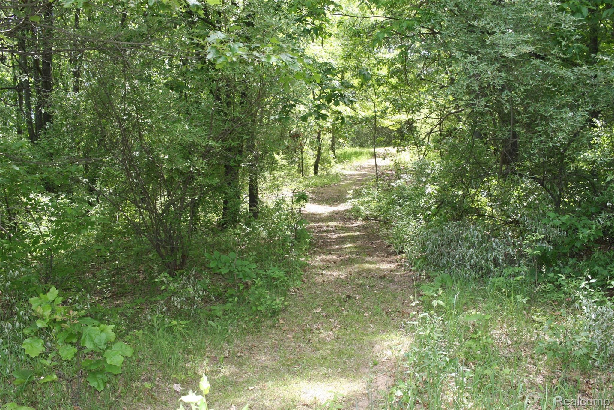 13101 Rattalee Lake Road Davisburg, MI 48350 - Photo 36 of 68 17 - CxiJNwz.jpg