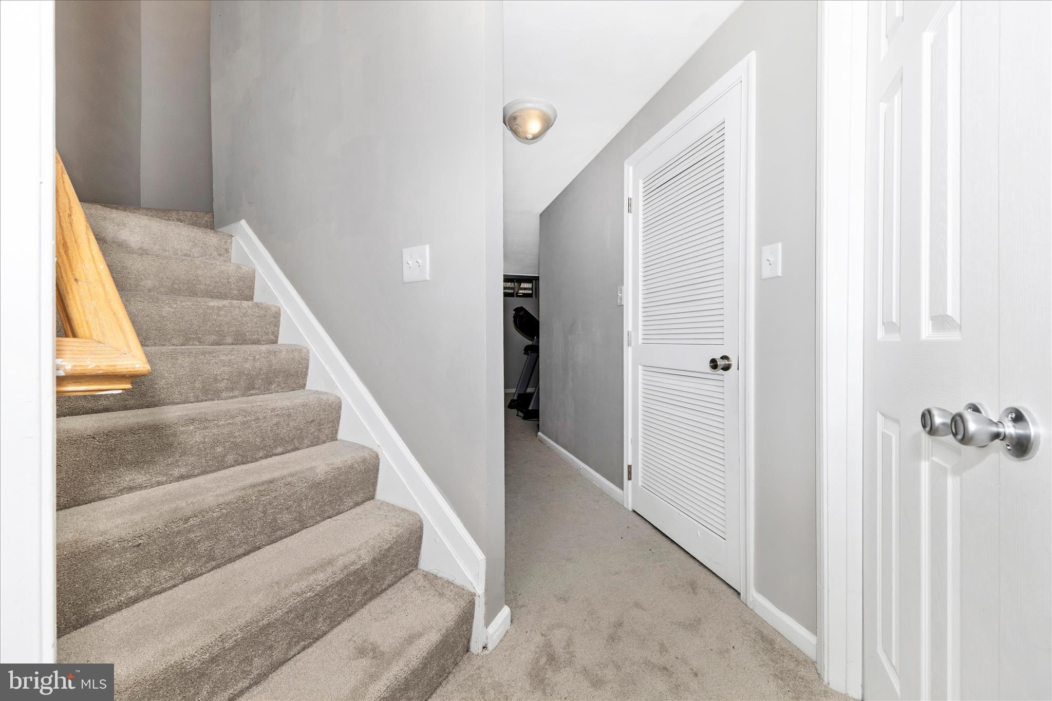 6107 Pine Ridge Terrace Frederick, MD 21701 - Photo 29 of 57 Lower Level