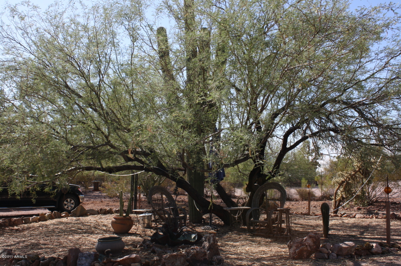 772 South Holmes Road Apache Junction, AZ 85119 - Photo 20 of 37 SITTING AREA 3