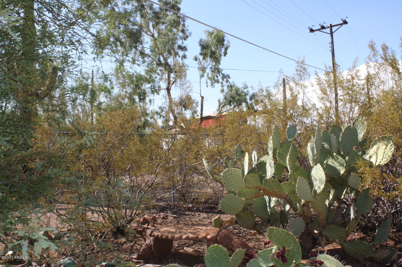 772 South Holmes Road Apache Junction, AZ 85119 - Photo 37 of 37 BENCH
