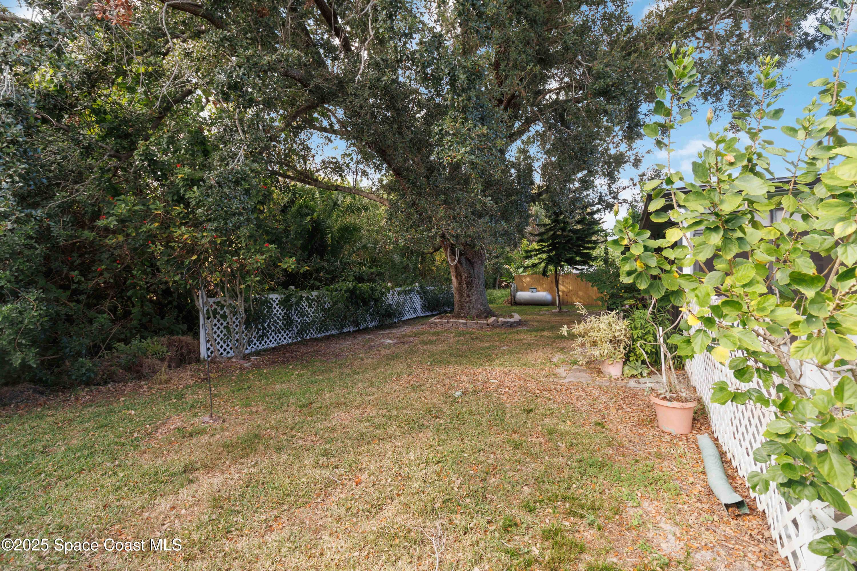 2355 Raintree Lake Circle Merritt Island, FL 32953 - Photo 40 of 47 a view of a yard with plants and trees