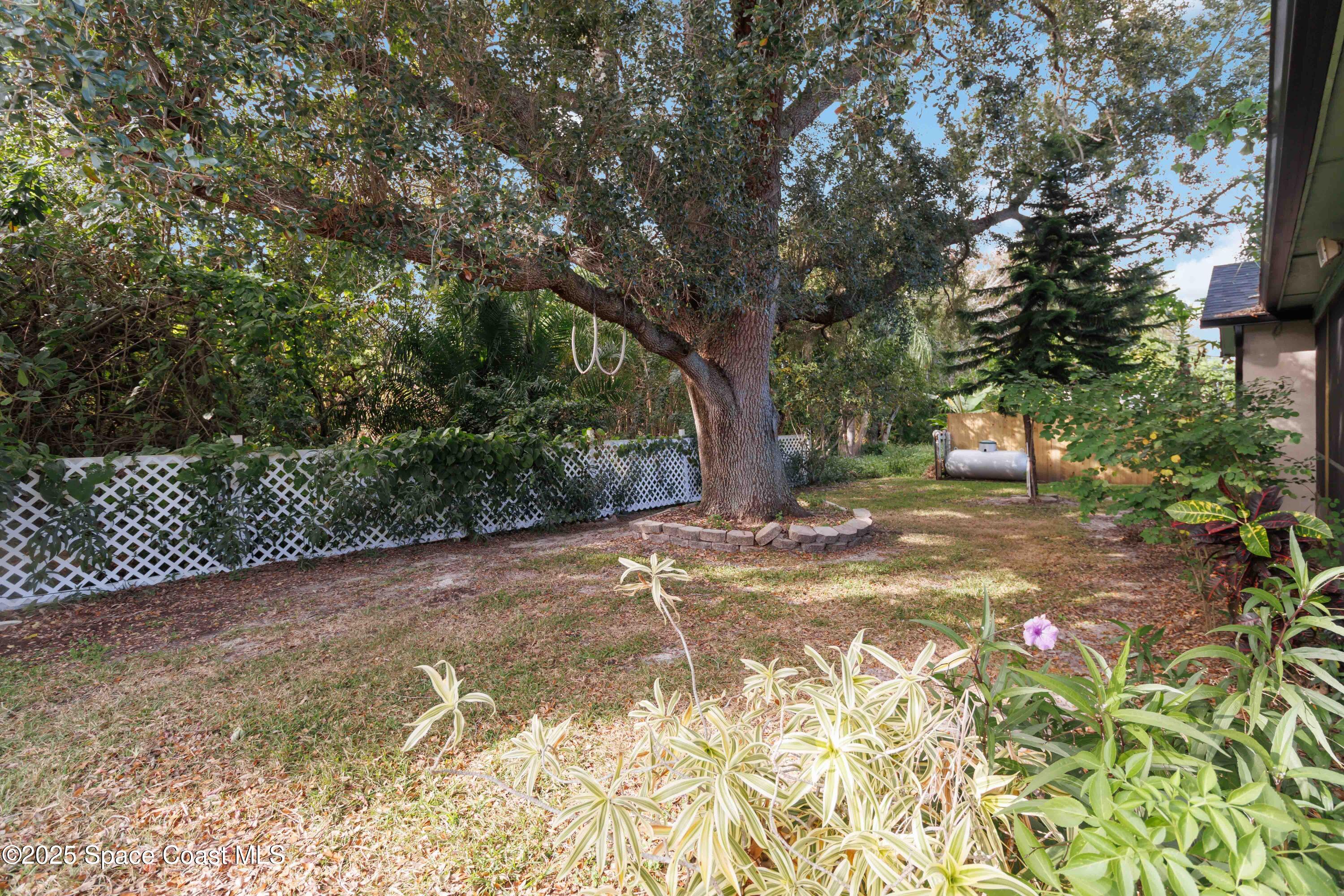 2355 Raintree Lake Circle Merritt Island, FL 32953 - Photo 42 of 47 a view of a yard with plants and trees