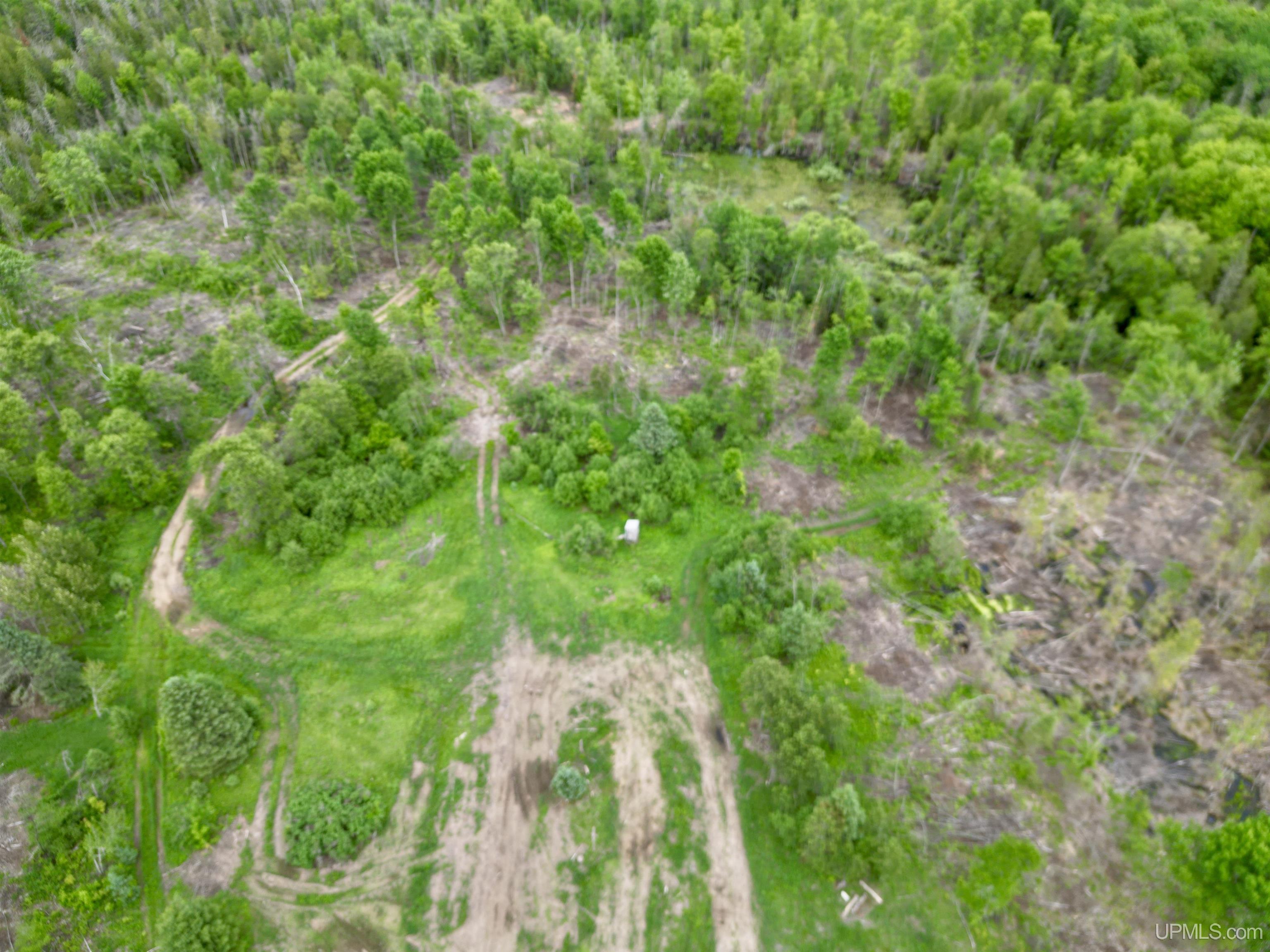 3601 Cr444 Road Rock, MI 49880 - Photo 58 of 78
