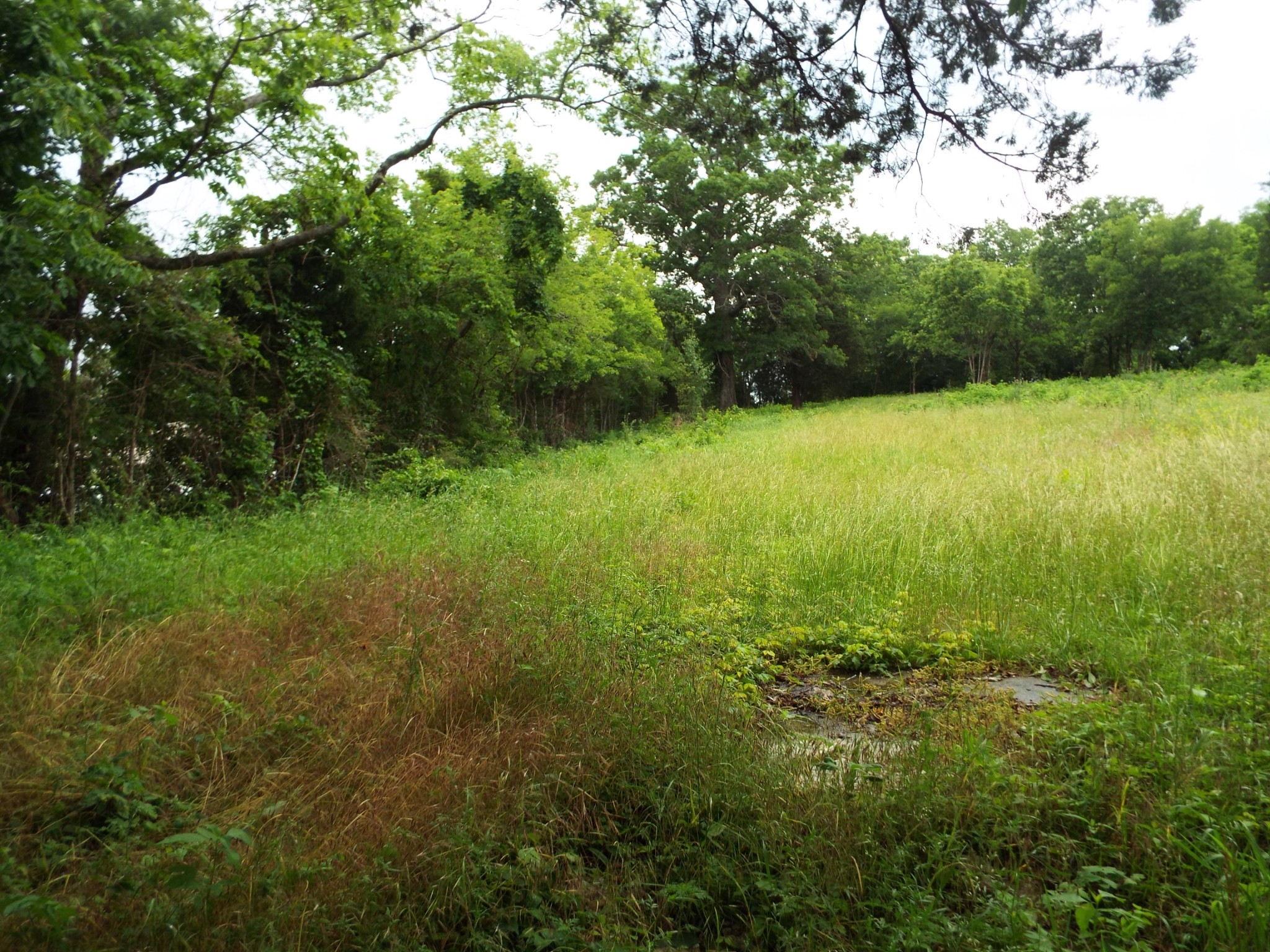 1835 Cainsville Road Lebanon, TN 37090 - Photo 10 of 10 Gallery Image 10