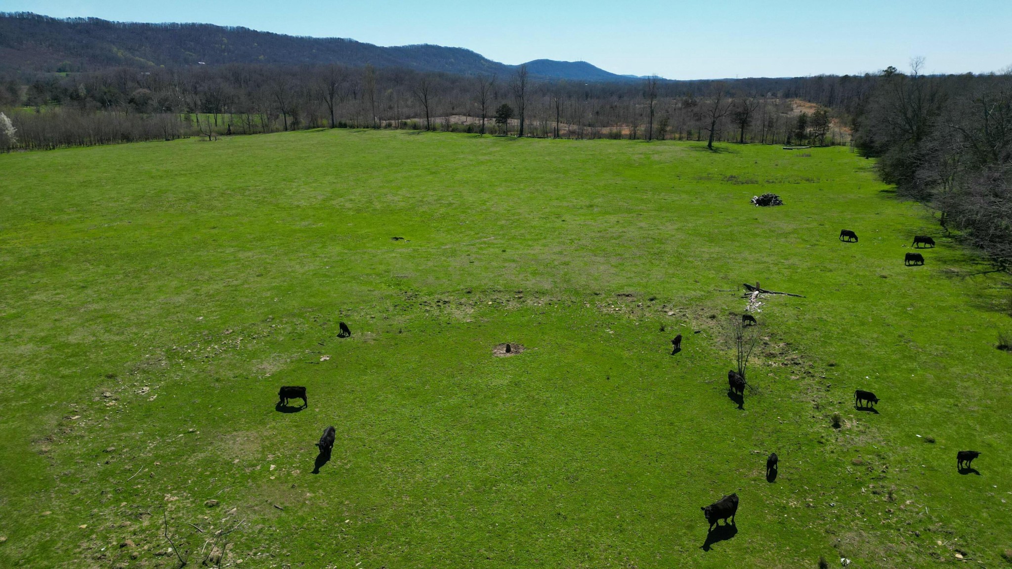 0 Ooltewah Georgetown Road Ooltewah, TN 37363 - Photo 4 of 15